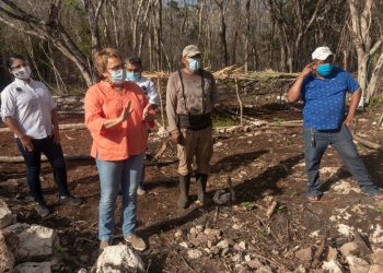 IMPULSO A LA PRODUCCIÓN AGROPECUARIA CLAVE PARA REACTIVAR LA ECONOMÍA: LAURA BERISTAIN