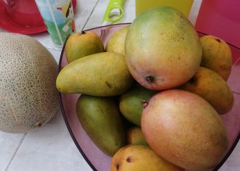 EL CICLO ESCOLAR 2020-2021 TENDRÁ NUEVA MATERIA