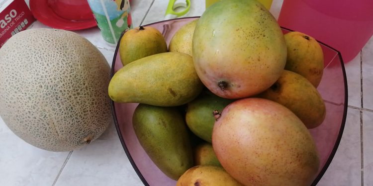 EL CICLO ESCOLAR 2020-2021 TENDRÁ NUEVA MATERIA