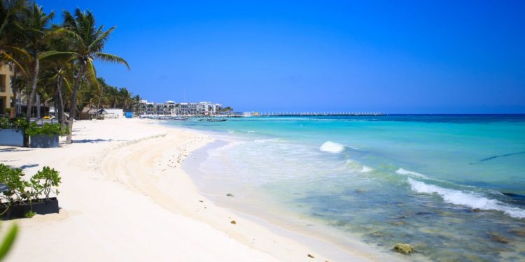 PLAYAS BLUE FLAG EN SOLIDARIDAD SERÁN LAS PRIMERAS EN ABRIR