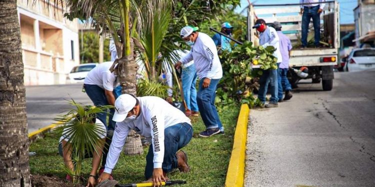 “ISLA MUJERES VERDE Y SALUDABLE”, UN COMPROMISO DE LA ACTUAL ADMINISTRACIÓN