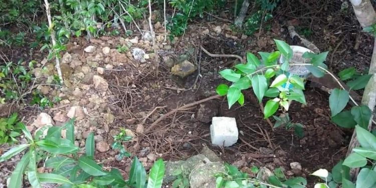 PADRASTRO MANDABA A MENOR A CAVAR SU PROPIA TUMBA