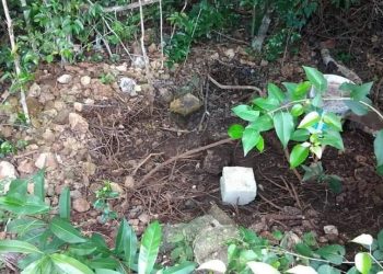 ATIENDE DIF COZUMEL AL NIÑO CUYO PADRASTRO LO OBLIGABA A CAVAR SU PROPIA TUMBA