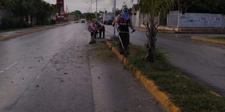 CONTINÚAN TRABAJOS DE MANTENIMIENTO DE LA BUENA IMAGEN URBANA EN RANCHO VIEJO