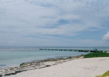 MAHAHUAL FRACASARÁ SI NO MODIFICAN EL PDU