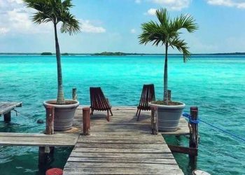 EXHORTAN A CUIDAR A BACALAR