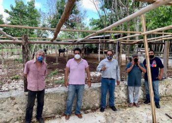 CCERM GENERA ALIANZAS PARA IMPULSAR LA DIVERSIFICACIÓN ECONÓMICA