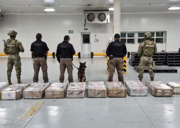 SEMAR, ADUANA Y FGR, ASEGURAN 575 PAQUETES DE COCAÍNA EN MANZANILLO, COLIMA