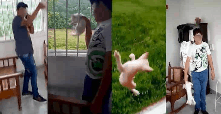 CONFIRMAN DENUNCIA PENAL CONTRA JÓVENES QUE MALTRATARON A UN GATO EN TEAPA