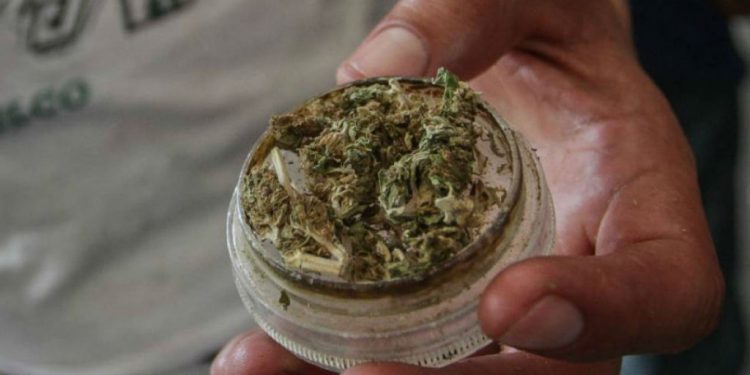 HABRÁ REFORMA LEGAL PARA USO MEDICINAL DE LA MARIGUANA: LÓPEZ OBRADOR