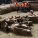 HAN HALLADO RESTOS DE MAMUTS Y BISONTES EN OBRAS DE AEROPUERTO DE SANTA LUCÍA