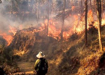 INCENDIO FORESTAL AL SUR DE PERÚ DEJA OCHO MUERTOS Y VARIOS HERIDOS