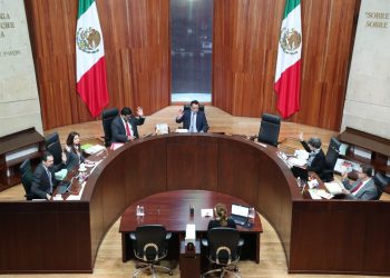 INE DEBE REALIZAR ENCUESTA PARA ELEGIR A DIRIGENTE DE MORENA, RESUELVE TEPJF