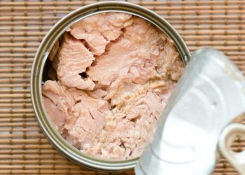 INVESTIGADORES UNAM ENCUENTRAN CARNE DE DELFÍN DENTRO DE LATAS DE ATÚN EN MÉXICO