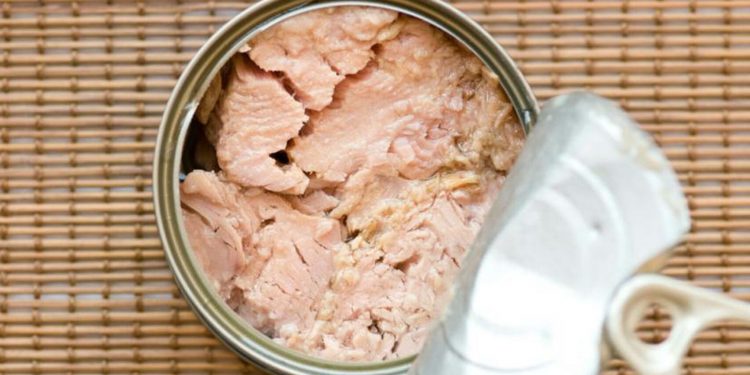 INVESTIGADORES UNAM ENCUENTRAN CARNE DE DELFÍN DENTRO DE LATAS DE ATÚN EN MÉXICO