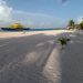 TRABAJA GOBIERNO DE ISLA MUJERES EN LOS PROTOCOLOS PARA LA REAPERTURA DE LAS PLAYAS DEL DESTINO