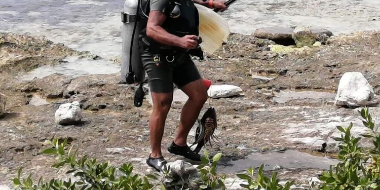 “REGAÑAN” A BUZO POR CAPTURAR ESPECIES EN PELIGRO