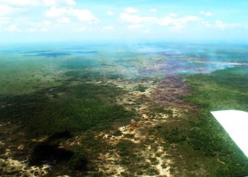 INCENDIO FORESTAL “SABANA SANTA TERESA 2020” TIENE UN 30% DE CONTROL