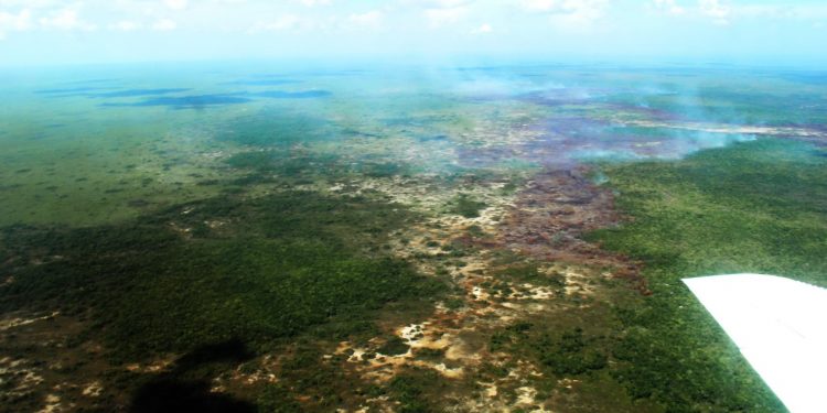 INCENDIO FORESTAL “SABANA SANTA TERESA 2020” TIENE UN 30% DE CONTROL