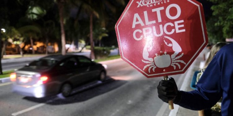 DA INICIO LA CAMPAÑA DE PROTECCIÓN AL CANGREJO AZUL EN CANCÚN