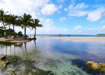 SOLIDARIDAD TENDRÁ NUEVOS ACCESOS PÚBLICOS A LAS PLAYAS: LAURA BERISTAIN