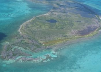 PESCADOR SE SALVA DE MORIR DEVORADO POR UN TIBURÓN EN BANCO CHINCHORRO