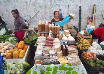 EL COLEGIO DE ABOGADOS Y ABOGADAS DE CHETUMAL BRINDARÁ ASISTENCIA LEGAL A VENDEDORES DE VERDURAS Y HORTALIZAS DEL MERCADO “NUEVO”.