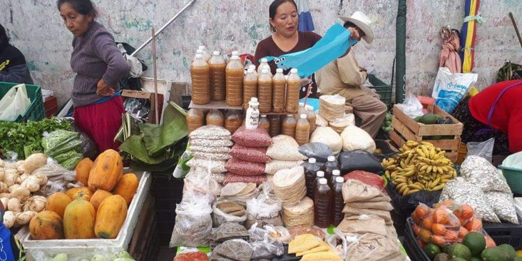 EL COLEGIO DE ABOGADOS Y ABOGADAS DE CHETUMAL BRINDARÁ ASISTENCIA LEGAL A VENDEDORES DE VERDURAS Y HORTALIZAS DEL MERCADO “NUEVO”.