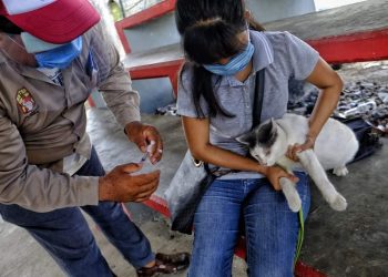 CONTINÚA LA JORNADA DE VACUNACIÓN EN ISLA MUJERES