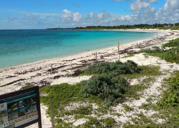 REAPERTURA DE LA RESERVA SANTUARIO DE LA TORTUGA MARINA XCACEL-XCACELITO