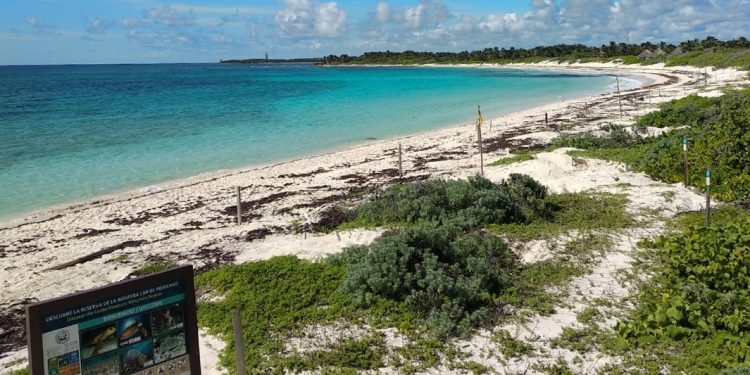 REAPERTURA DE LA RESERVA SANTUARIO DE LA TORTUGA MARINA XCACEL-XCACELITO