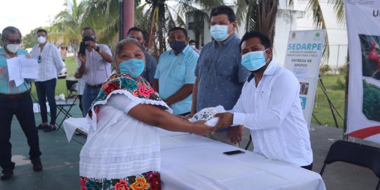 MUJERES CAMPESINAS RESCATAN LA PRODUCCIÓN ORGÁNICA