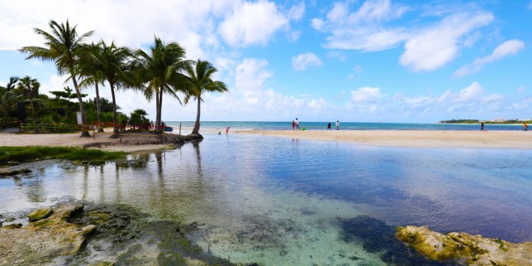 EN SOLIDARIDAD CONTINÚA LA APERTURA DE PLAYAS CON MEDIDAS DE PREVENCIÓN DE CONTAGIOS