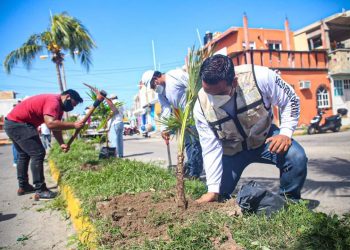 FOMENTA GOBIERNO MUNICIPAL CUIDADO AMBIENTAL CON MÁS REFORESTACIÓN EN LA VÍA PÚBLICA
