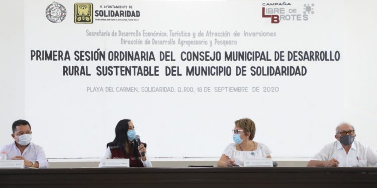 IMPULSO AL SECTOR PRIMARIO ES PRIORIDAD PARA DIVERSIFICAR LA ECONOMÍA: LAURA BERISTAIN