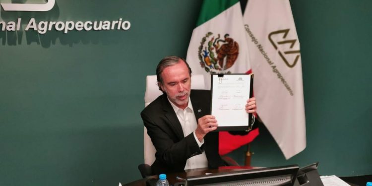 CONCRETA ACUERDO EL TREN MAYA