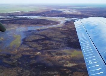 CONFLAGRACIÓN EN LA RESERVA DE LA BIOSFERA SIAN KA’AN EXTINTA AL 100%