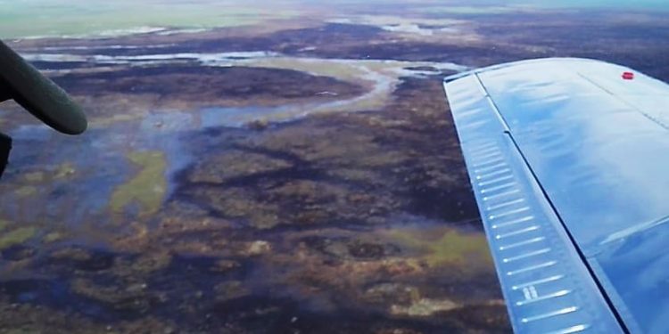 CONFLAGRACIÓN EN LA RESERVA DE LA BIOSFERA SIAN KA’AN EXTINTA AL 100%