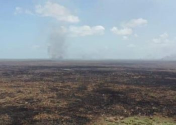 CONSUME INCENDIO FORESTAL 4 MIL 800 HECTÁREAS DE SIAN KA’AN