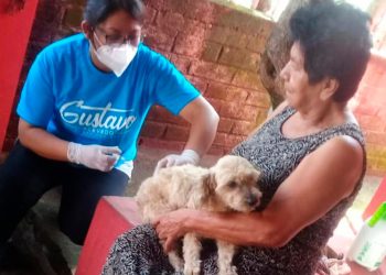 LA SESA REALIZARÁ DEL 20 AL 26 DE SEPTIEMBRE LA VACUNACIÓN ANTIRRÁBICA CANINA Y FELINA CON LA META DE APLICAR 136 MIL DOSIS GRATUITAS