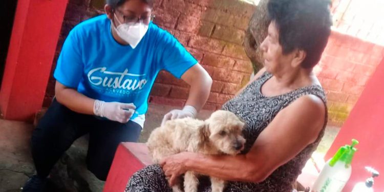 LA SESA REALIZARÁ DEL 20 AL 26 DE SEPTIEMBRE LA VACUNACIÓN ANTIRRÁBICA CANINA Y FELINA CON LA META DE APLICAR 136 MIL DOSIS GRATUITAS