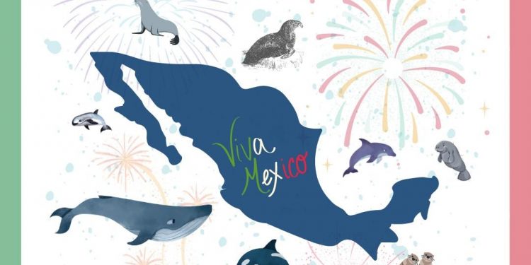 PROMUEVEN Y FESTEJAN LA DIVERSIDAD DE MAMÍFEROS MARINOS QUE HAY EN MÉXICO