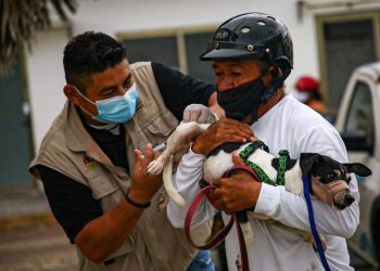 INVITA GOBIERNO MUNICIPAL A APROVECHAR ÚLTIMO DÍA DE VACUNACIÓN CANINA Y FELINA