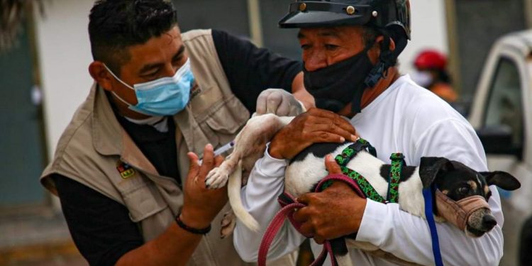 INVITA GOBIERNO MUNICIPAL A APROVECHAR ÚLTIMO DÍA DE VACUNACIÓN CANINA Y FELINA