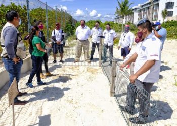 PONE EN PRÁCTICA HOTEL MAJESTIC CAPACITACIÓN DE AYUNTAMIENTO PARA PROTEGER TORTUGAS MARINAS
