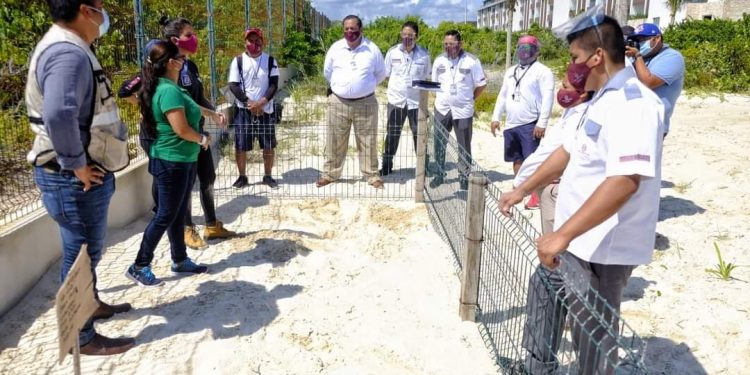 PONE EN PRÁCTICA HOTEL MAJESTIC CAPACITACIÓN DE AYUNTAMIENTO PARA PROTEGER TORTUGAS MARINAS