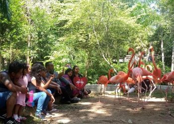 SE PREPARA ZOOLÓGICO PAYO OBISPO PARA ABRIR SUS PUERTAS A LOS VISITANTES