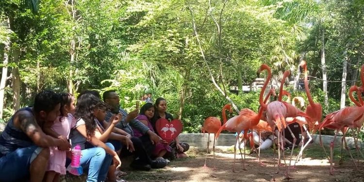 SE PREPARA ZOOLÓGICO PAYO OBISPO PARA ABRIR SUS PUERTAS A LOS VISITANTES