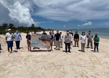 SE SUMA HOTEL ATELIER PLAYA MUJERES A CURSO DEL AYUNTAMIENTO PARA PRESERVAR TORTUGAS MARINAS
