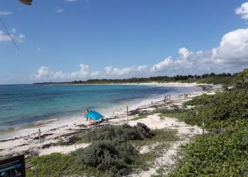 REALIZAN LIMPIEZA DE PLAYAS EN XCACEL- XCACELITO